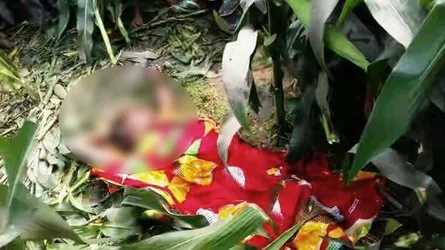 পাষণ্ড পিতা ৪ বছরের সন্তানকে পিটিয়ে মৃত ভেবে ভূট্টা ক্ষেতে ফেলে দিলেন