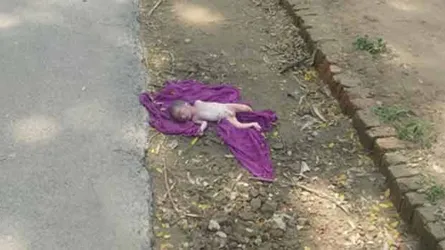 রাস্তার পাশে নিষ্পাপ শিশুটিকে ফেলে গেছে অপরাধী মা!