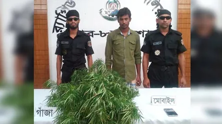 এবার বাড়ির ছাদে গাঁজার বাগান