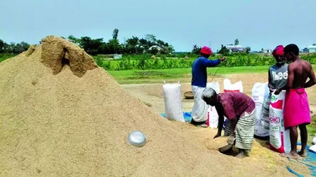 হাওরবাসীর কান্না কেউ শোনে না