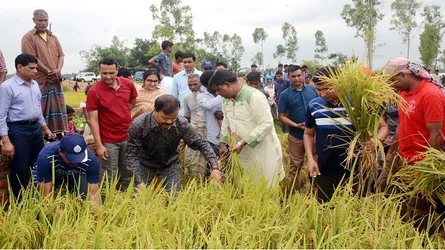ঈদ আনন্দ নেই উত্তরাঞ্চলের কৃষকের