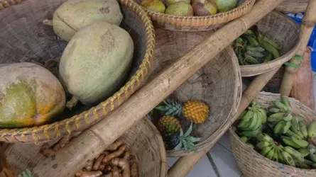 অর্গ্যানিক খাদ্য আসলে কী