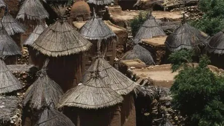 মালিতে সন্ত্রাসী হামলা, নিহত ১০০