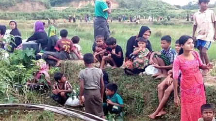 রোহিঙ্গাদের মিয়ানমারের নাগরিক অধিকার নিশ্চিত করতে হবে : ইইউ’র বিশেষ প্রতিনিধি
