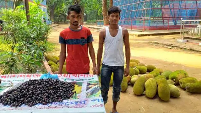 ২ টাকায় কাঁঠাল, আমের কেজি ১ টাকা!