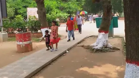 মিরপুর চিড়িয়াখানায় যেভাবে হারিয়ে যায় শিশুরা (ভিডিও)