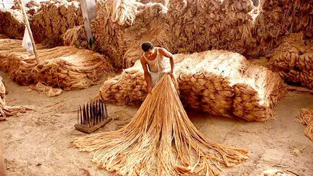 ৩ বছরের প্রকল্প চলছে ৯ বছর ধরে