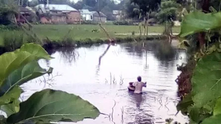 এতিমখানার নামে চাষকৃত পুকুরে বিষ প্রয়োগ
