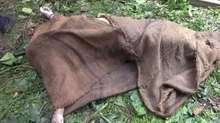 নিখোঁজ নারী শ্রমিকের হাত-পা বাঁধা লাশ উদ্ধার