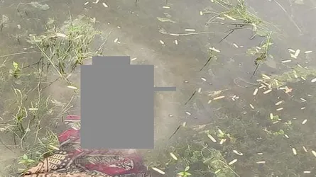শিশুটিকে খালে ফেলে দিল কে?