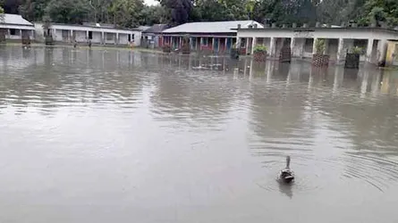 ভুরুঙ্গামারীতে শিক্ষা প্রতিষ্ঠানে জলাবদ্ধতা