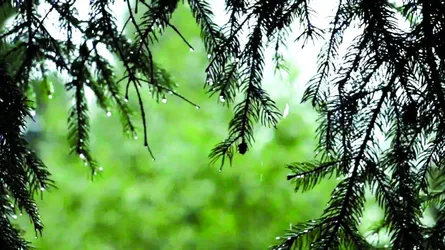 কী হলো আষাঢ়ের