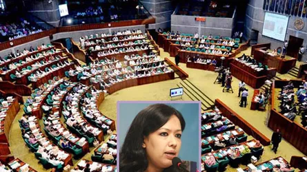 সংসদে ‘বিরোধী দল’ নিয়ে বিএনপি-জাপা বিতর্ক