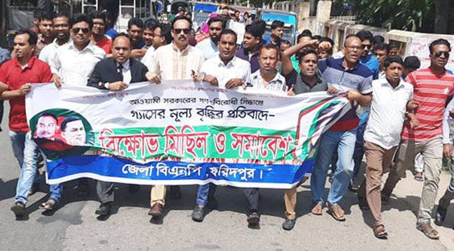 গ্যাসের মূল্য বৃদ্ধির প্রতিবাদে ফরিদপুরে বিএনপির বিক্ষোভ মিছিল
