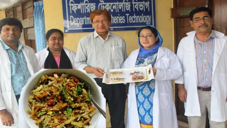সিলভার কার্প মাছের নুডুলস উদ্ভাবন করলেন বাকৃবি গবেষকরা