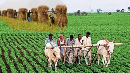 চতুর্থ শিল্পবিপ্লব ও দেশের কৃষি