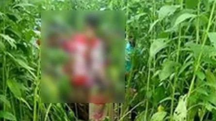 ৪র্থ শ্রেণীর ছাত্রীকে পাট ক্ষেতে নিয়ে ধর্ষণ
