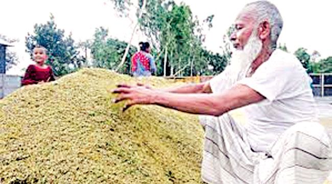 কৃষিপণ্যের জাকাত দিন