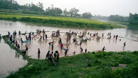 পানি বৃদ্ধি পাওয়ায় নদীতে মাছ ধরার মহোৎসব