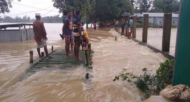 বানভাসিদের দুর্ভোগ চরমে, ভেসে গেছে কোটি টাকার মাছ