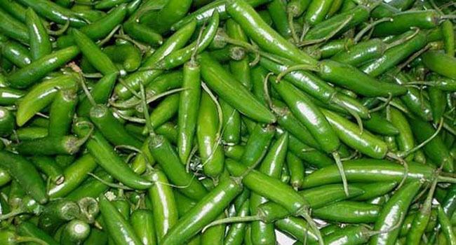 কাঁচা মরিচের কেজি ২০০ টাকা!