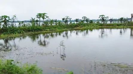 সুনামগঞ্জে পাহাড়ি ঢলে ৬২১টি পুকুরের  আড়াই কোটি টাকার মাছ ভেসে গেছে