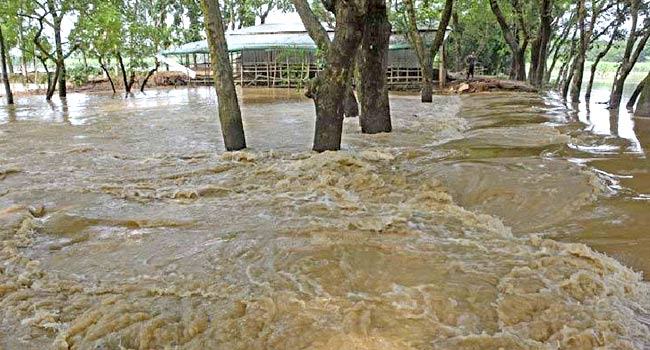 হু হু করে বাড়ছে পদ্মার পানি