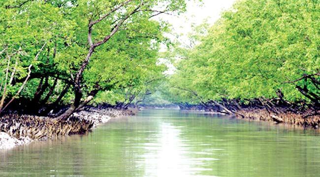 দেশে পর্যটন শিল্পের সম্ভাবনা