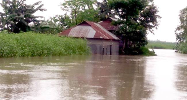 বন্যার পানি আসছে ঢাকার দিকে