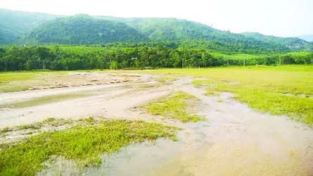 সুনামগঞ্জের সীমান্তে বালু পাথরে বসতবাড়ি ক্ষতিগ্রস্ত ফসলি জমি হুমকির মুখে
