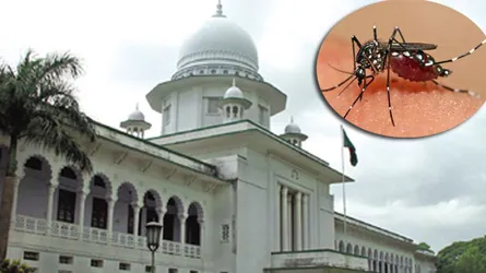 ডেঙ্গুর বিস্তৃতি : ২ সিটি কর্পোরেশনের স্বাস্থ্য কর্মকর্তাদের হাইকোর্টে তলব