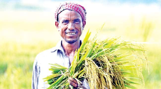দেশের স্বার্থে কৃষককে বাঁচাতে হবে