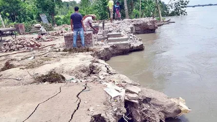রাক্ষুসে পদ্মার ছোবলে নিঃস্ব শতাধিক পরিবার