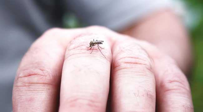 ডেঙ্গু জ্বরের ব্যাপারে সচেতন হোন