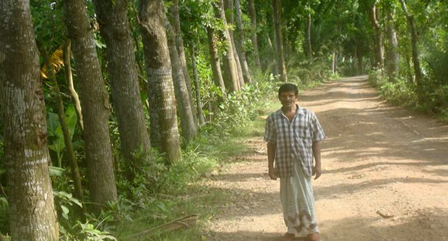 গাছ পাগল ‘লুতো পাগলা’র গল্প
