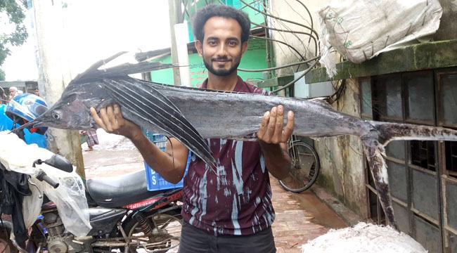 জেলের জালে বিরল প্রজাতির মাছ