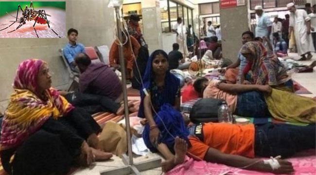 ডেঙ্গু ছড়িয়েছে সারা দেশে