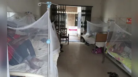 গাজীপুরে বাড়ছে ডেঙ্গু রোগীর সংখ্যা