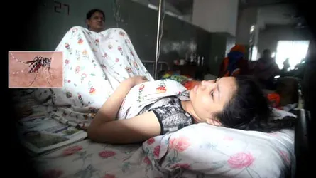 ‘কীটনাশকে এডিস মশা মরে না ’