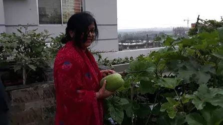 ছাদ কৃষিতে খালেদা সাঈদের সাফল্য