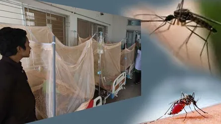 সিলেটে ২৪ ঘণ্টায় নতুন ১৪ ডেঙ্গু রোগী ভর্তি