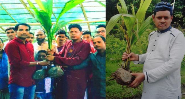 ১৫ বছর ধরে বৃক্ষরোপণ করছেন হাটহাজারির বাবুল