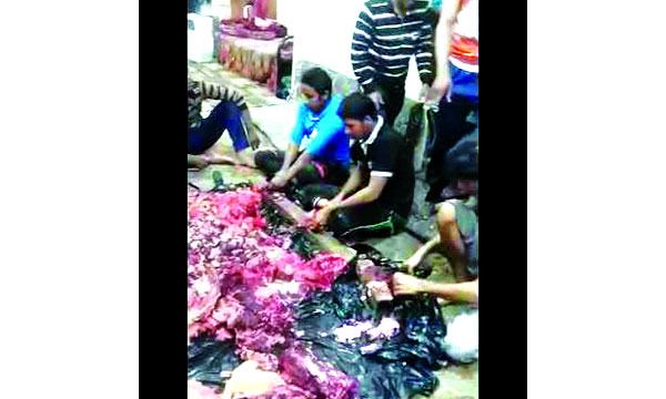 কোরবানির স্মৃতি!