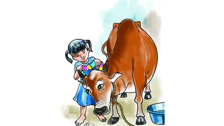 লাল গরুর কোরবানি