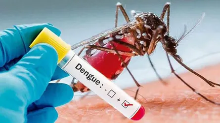 ডেঙ্গু নিয়ে বিশেষজ্ঞ পরামর্শ