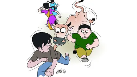 আবির এবং গরুর লেজ