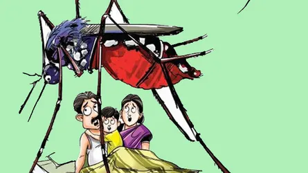 চিকিৎসকের পরামর্শ মানলে ডেঙ্গু সাত দিনের মধ্যে সেরে যায়