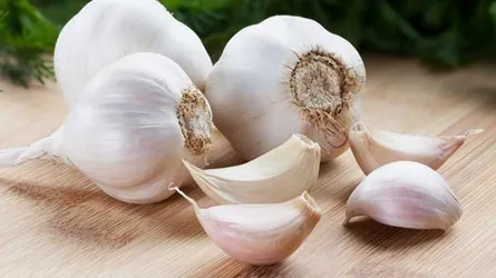 চিকিৎসাশাস্ত্রে রসুন