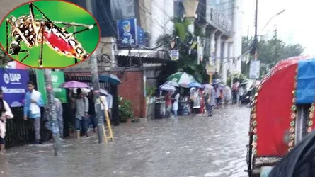 অতিবৃষ্টিতে কমবে ডেঙ্গু?