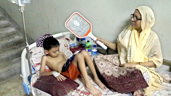 ৫৬ ভাগ বাড়িতেই ডেঙ্গুর মশা !